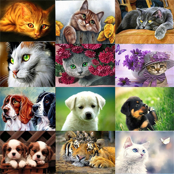 5D DIY Diamond Painting Full Round Cat Dog Picture Diamond Embroidery Mosaic Animals Pattern Cross Stitch Home Decoration Gift|Diamond Painting Cross Stitch|