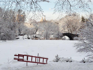 New York Central Park - Winter Series