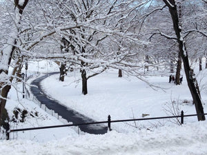 New York Central Park - Winter Series