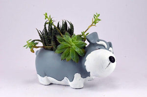 GreyFOX || Handmade Cute Dog Resin Multipurpose Pot || Succulent Pot Indoor || Desktop Flower Planter || Home DÃ©cor Garden